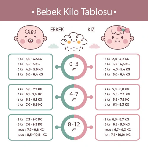 Bebek kilo tablosu 0-12