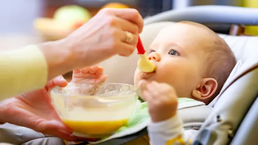 Food Selection in Baby Nutrition