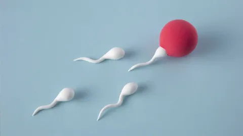 hamilelik te kanama ve leke